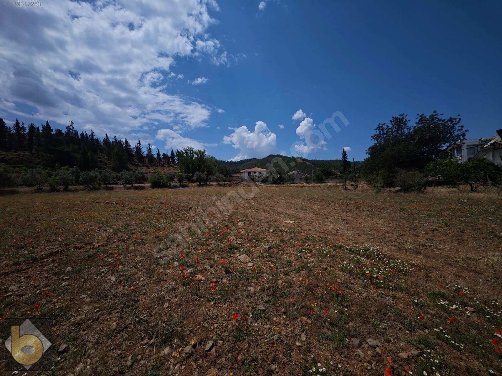 İlan Fotoğrafı