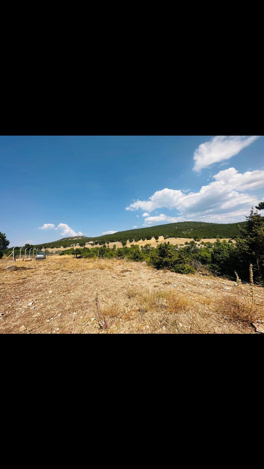 Fotoğraf