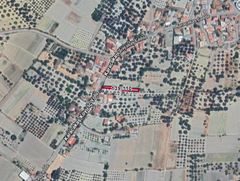 Fotoğraf