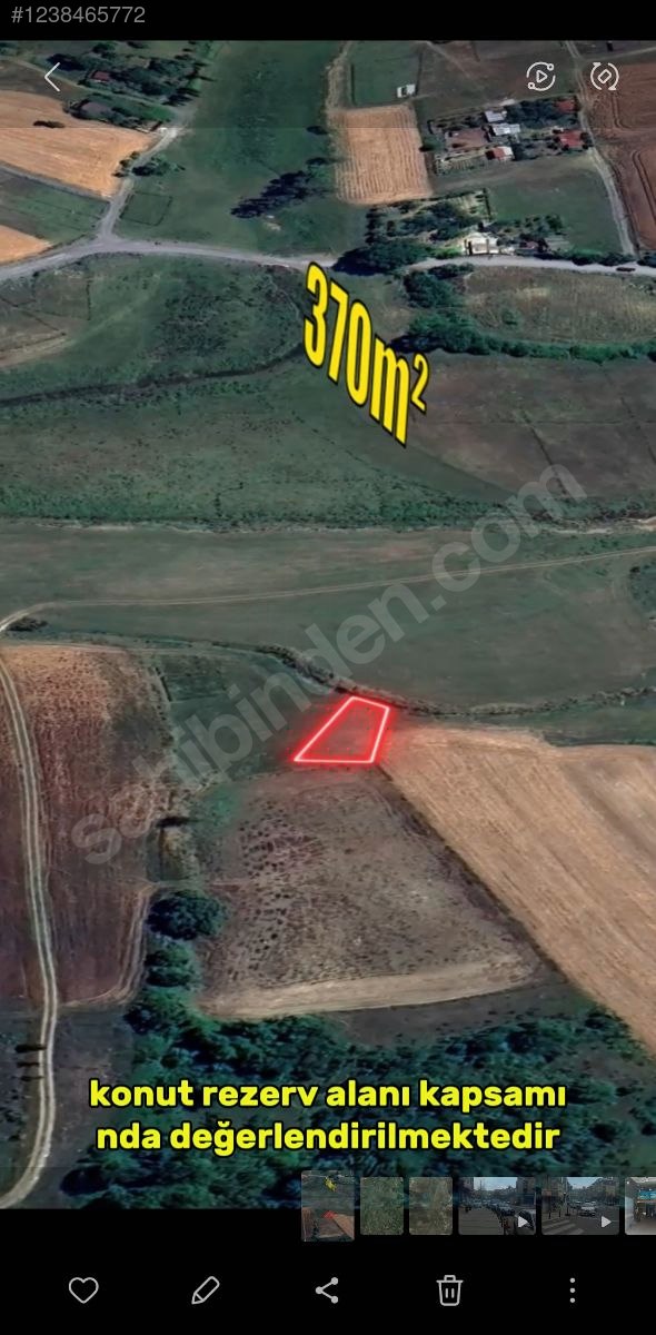 Fotoğraf