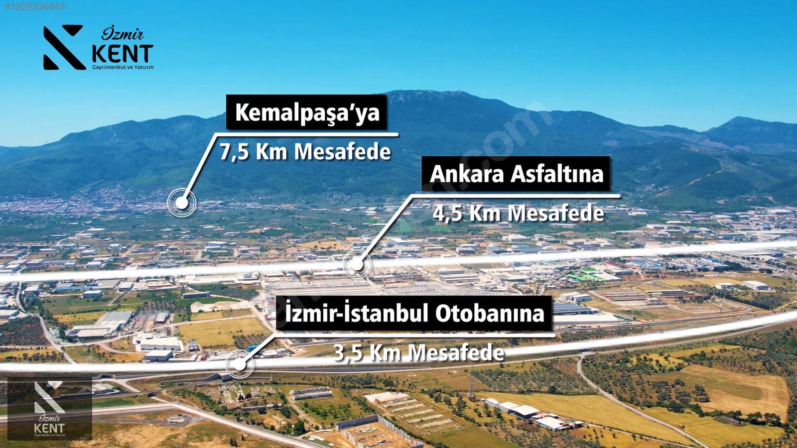Fotoğraf