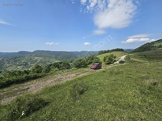 Fotoğraf
