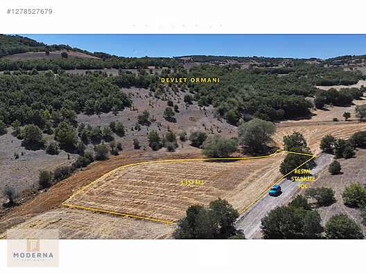 ESKİŞEHİR SEYİTGAZİ RESMİ YOLA VE ORMANA CEPHE 3357 M2 TEK TAPU