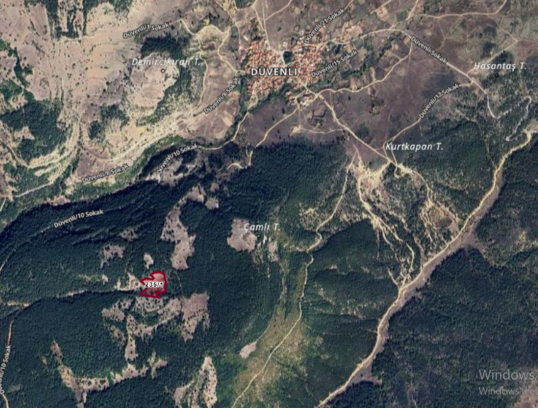 Fotoğraf