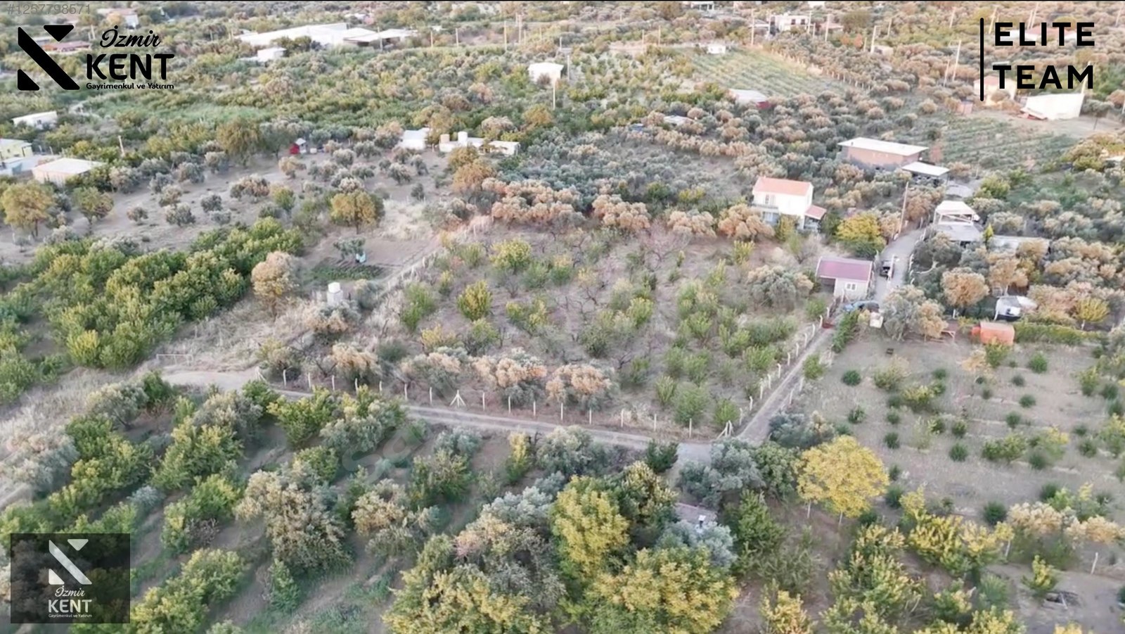 Fotoğraf