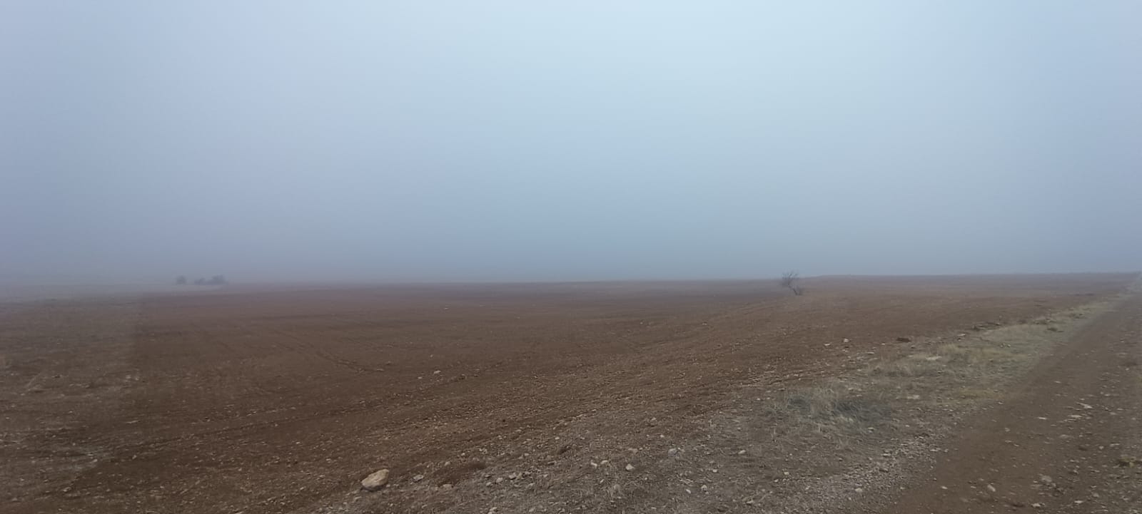 Fotoğraf
