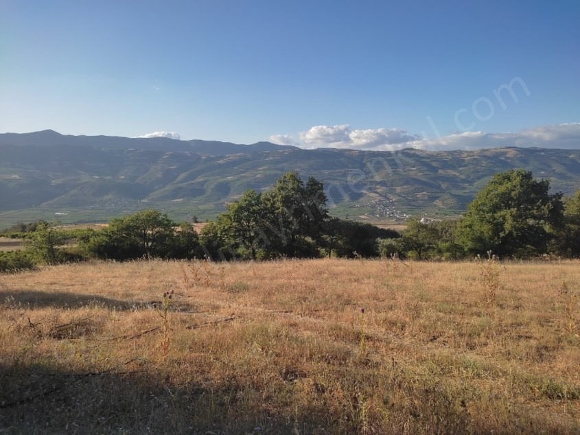 Fotoğraf