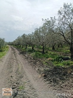 Fotoğraf