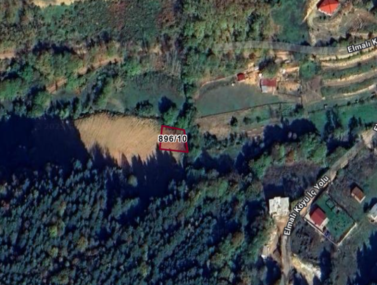 Fotoğraf