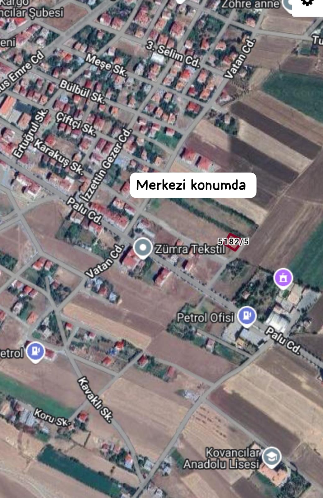 Fotoğraf