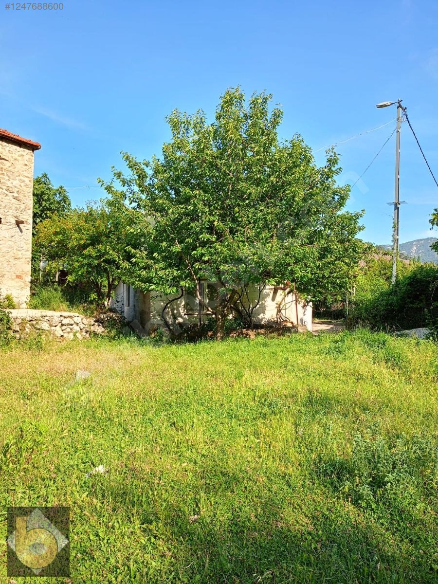 İlan Fotoğrafı
