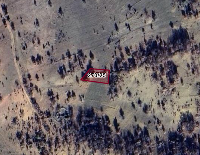 Fotoğraf