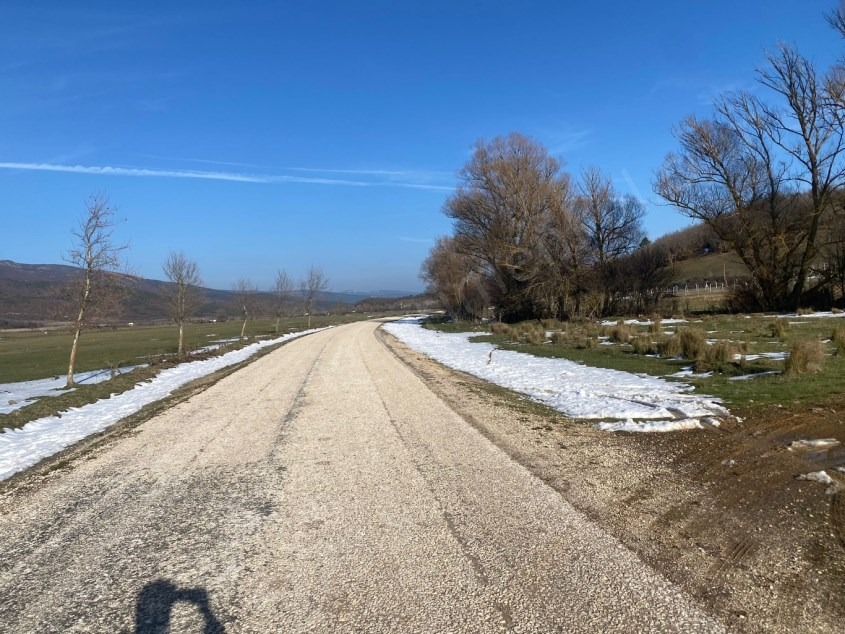 Fotoğraf