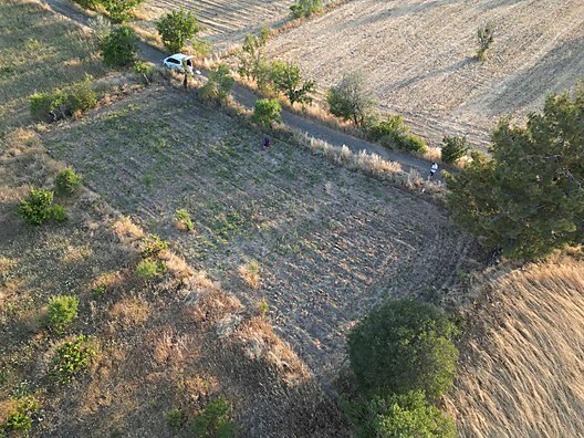 İlan Fotoğrafı