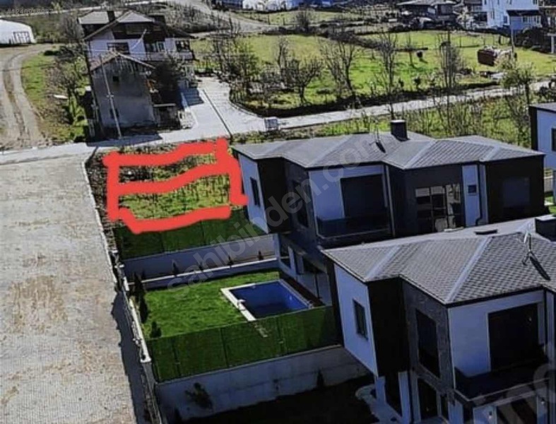Fotoğraf