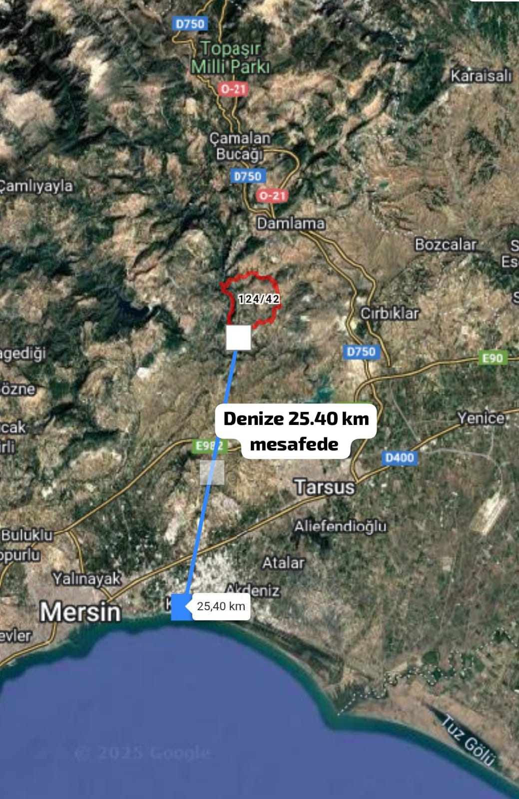 Fotoğraf