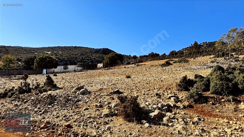 İlan Fotoğrafı
