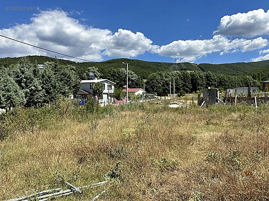 Fotoğraf