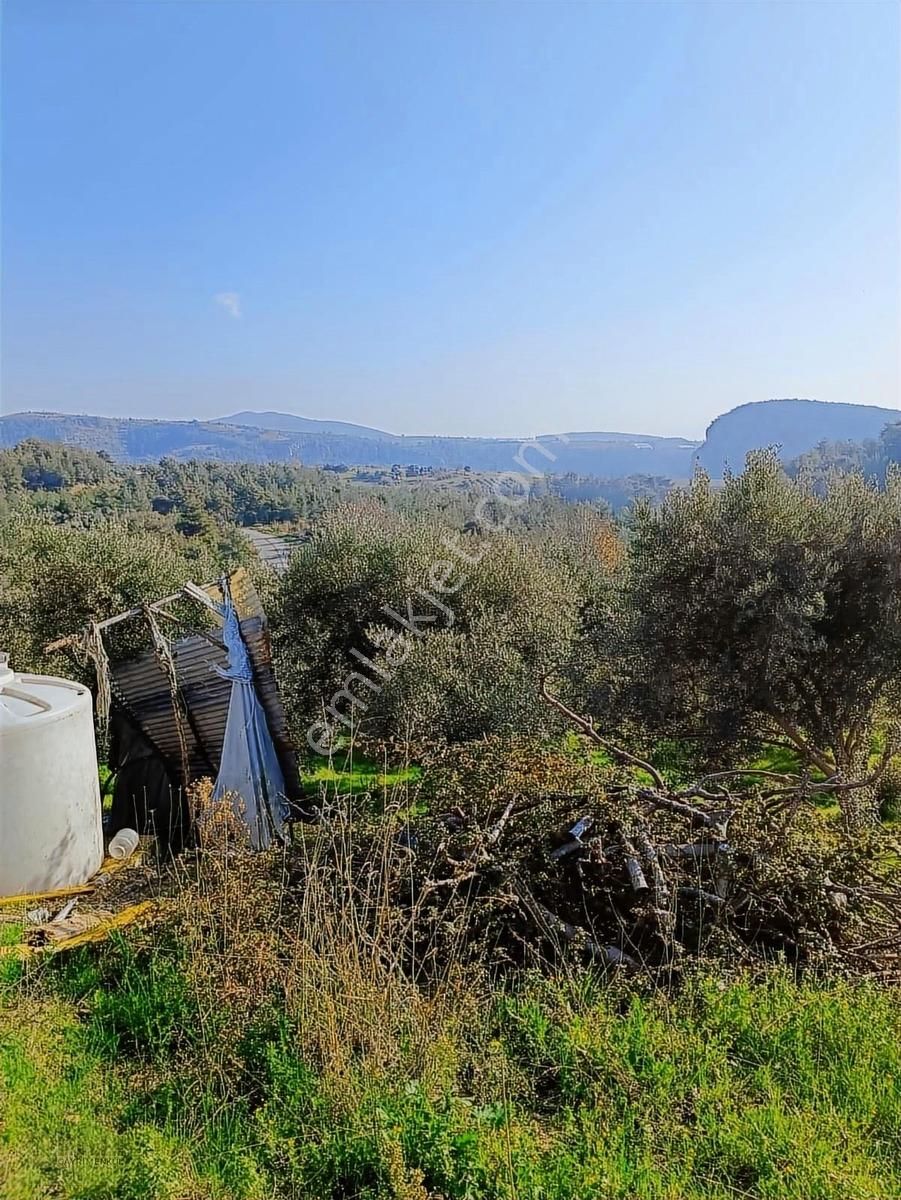 İlan Fotoğrafı