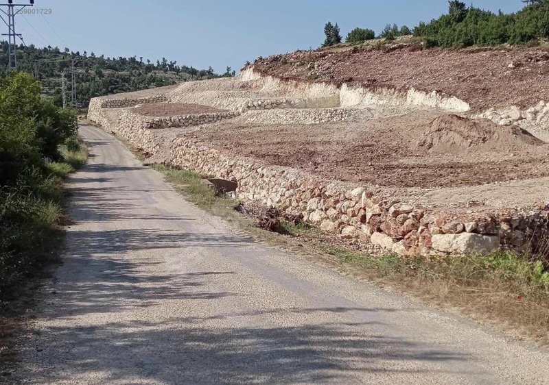 Fotoğraf
