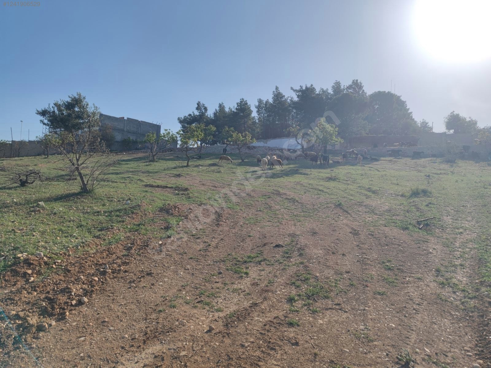 İlan Fotoğrafı