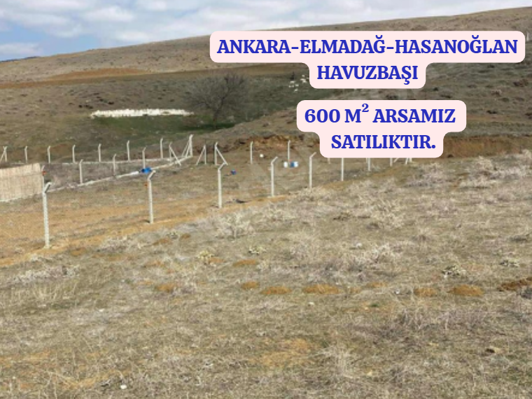 Fotoğraf