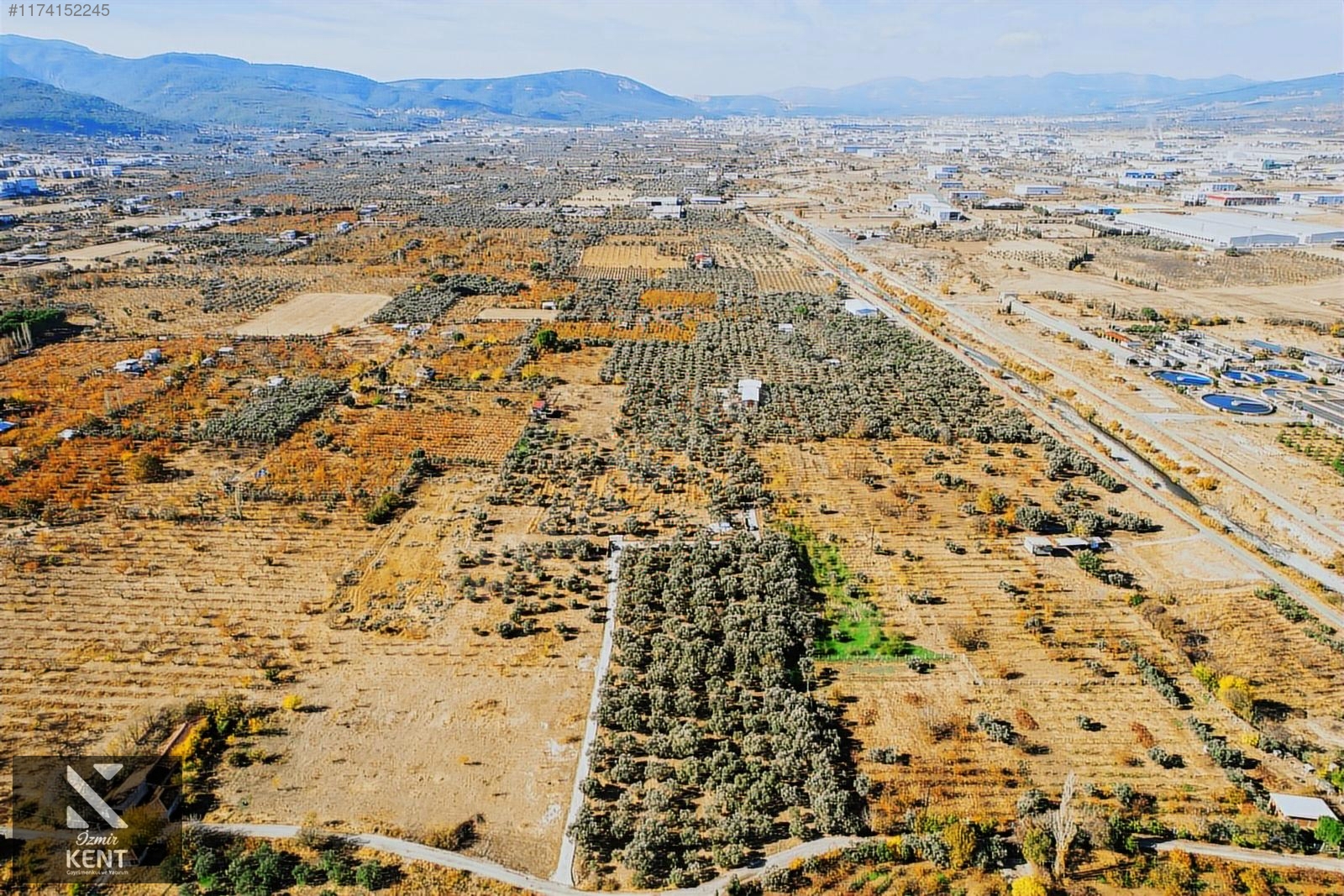 Fotoğraf