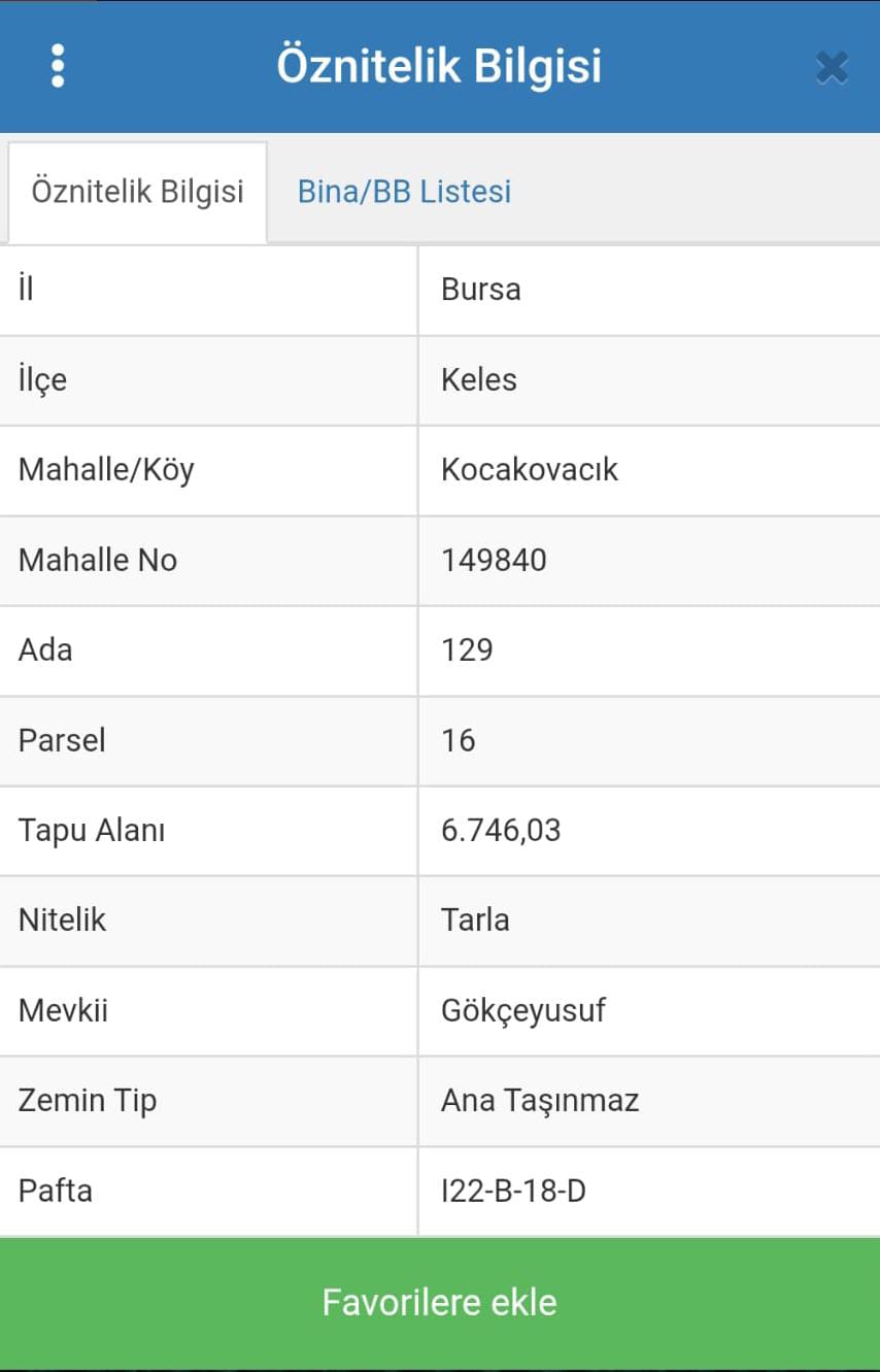 Fotoğraf