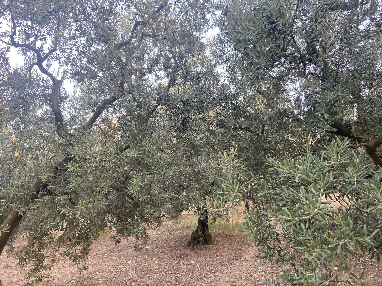 Fotoğraf