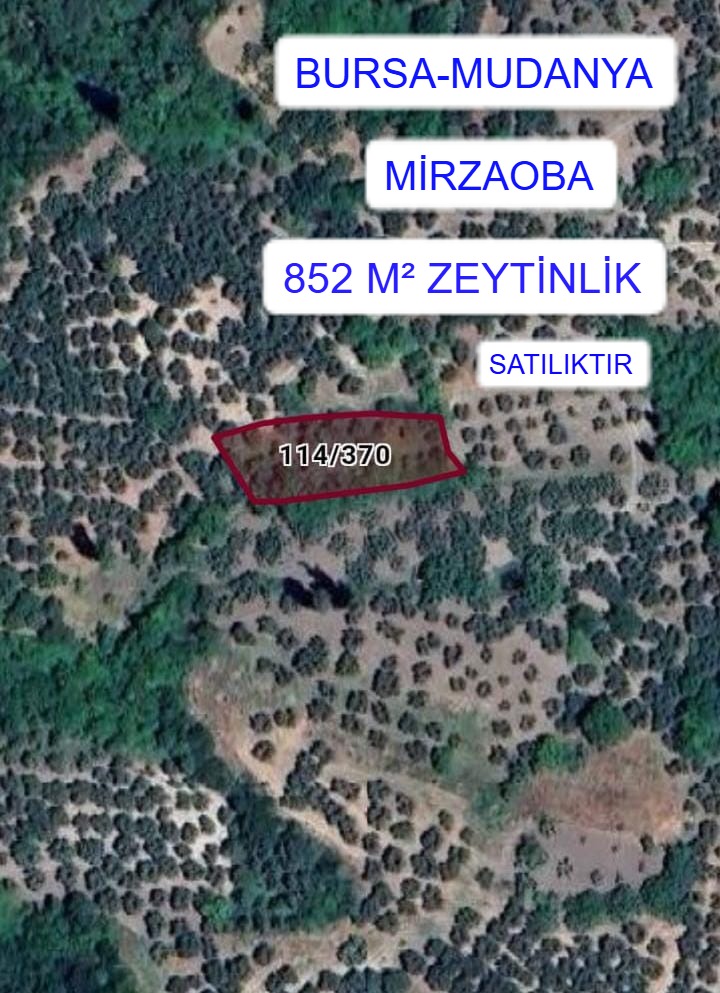 Fotoğraf