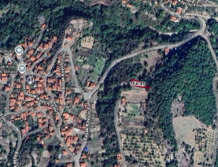 Fotoğraf