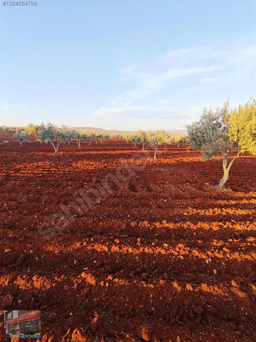 İlan Fotoğrafı