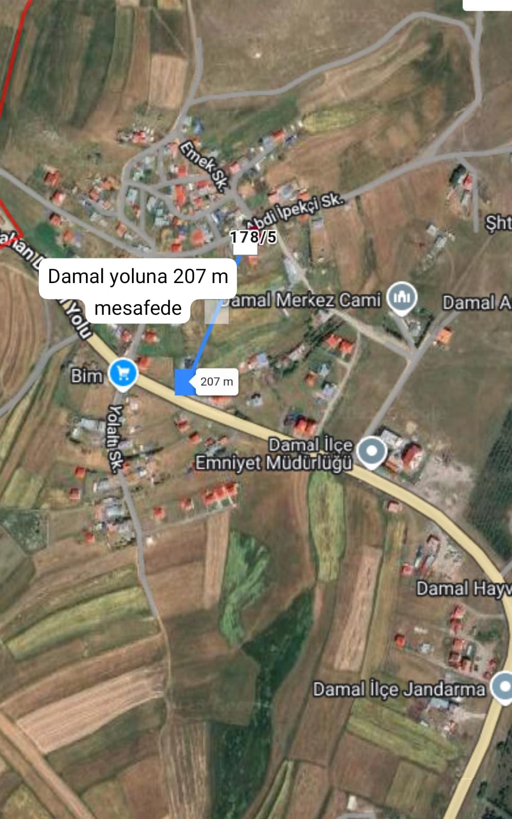 Fotoğraf
