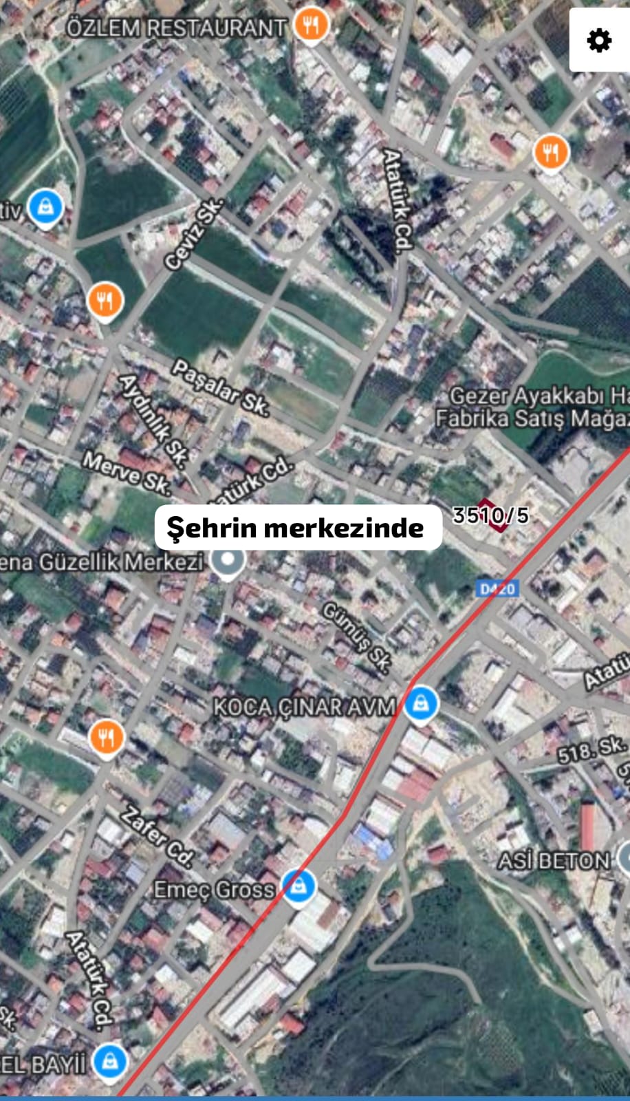 Fotoğraf