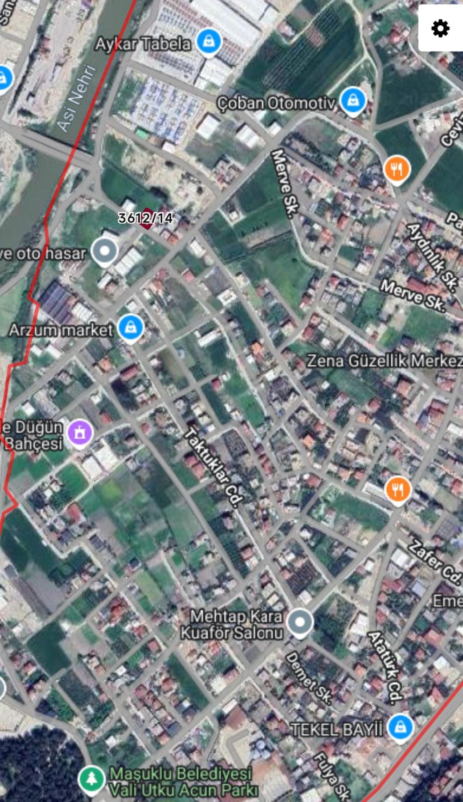 Fotoğraf