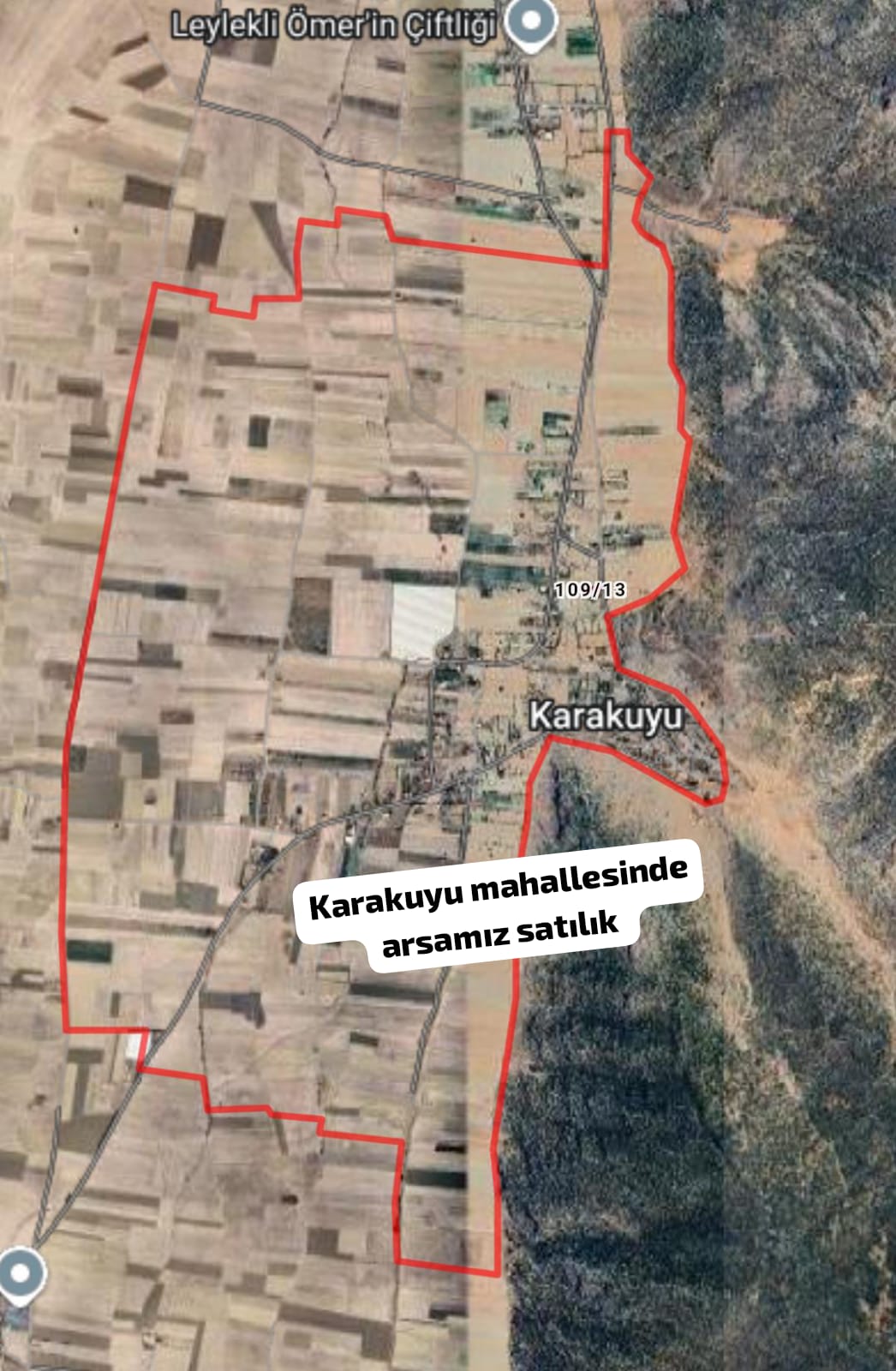 Fotoğraf