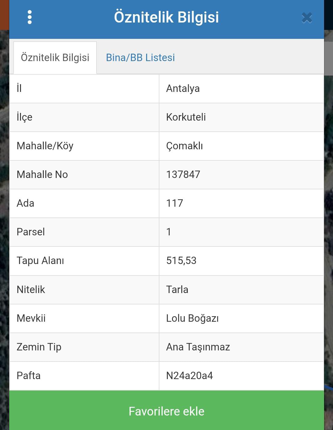 Fotoğraf
