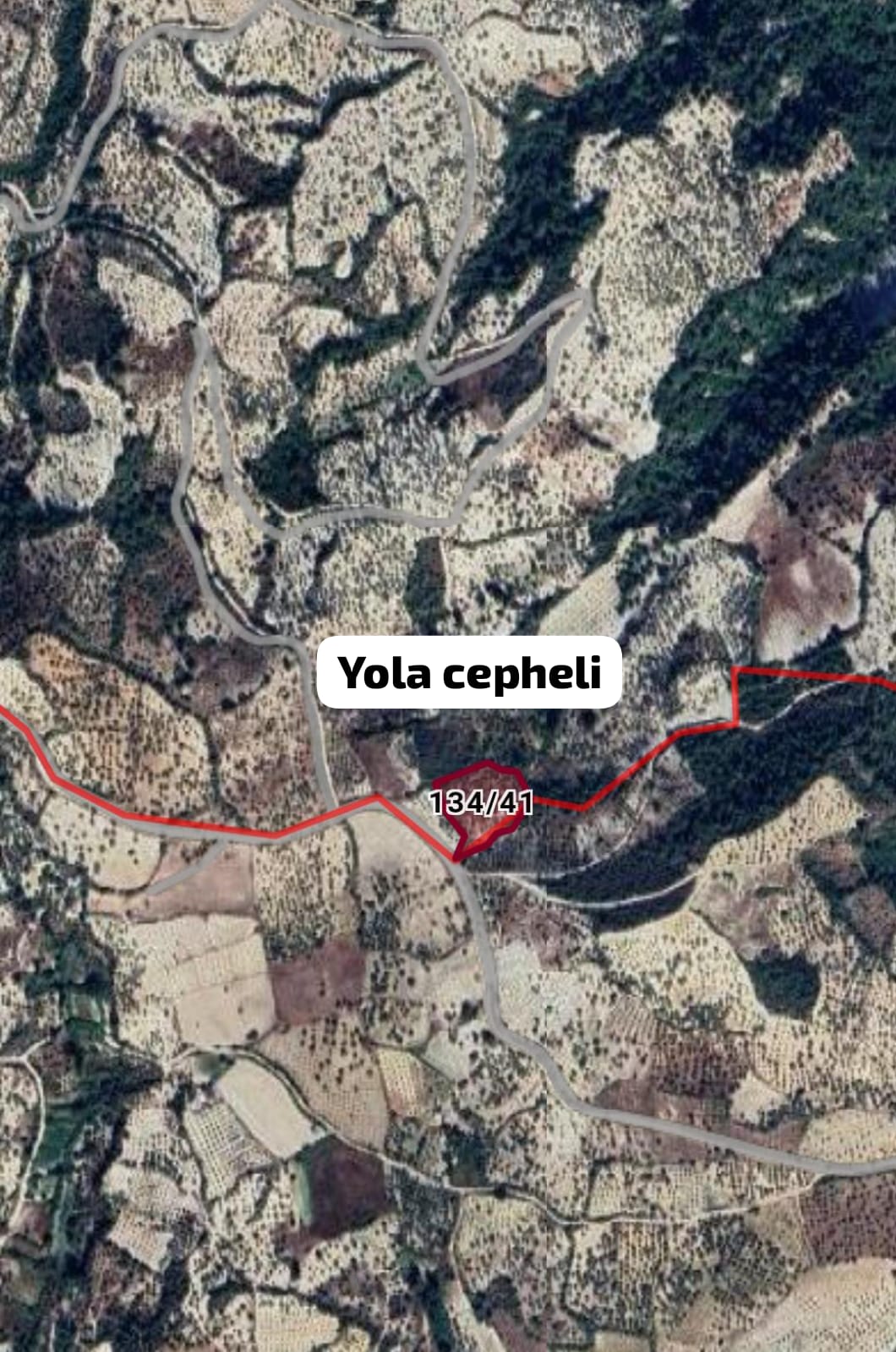 Fotoğraf