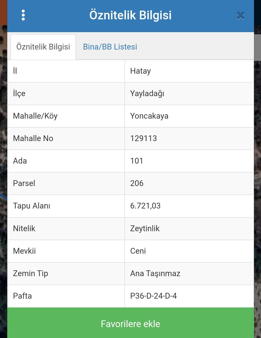 Fotoğraf