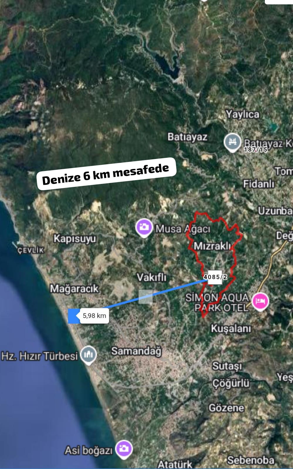 Fotoğraf