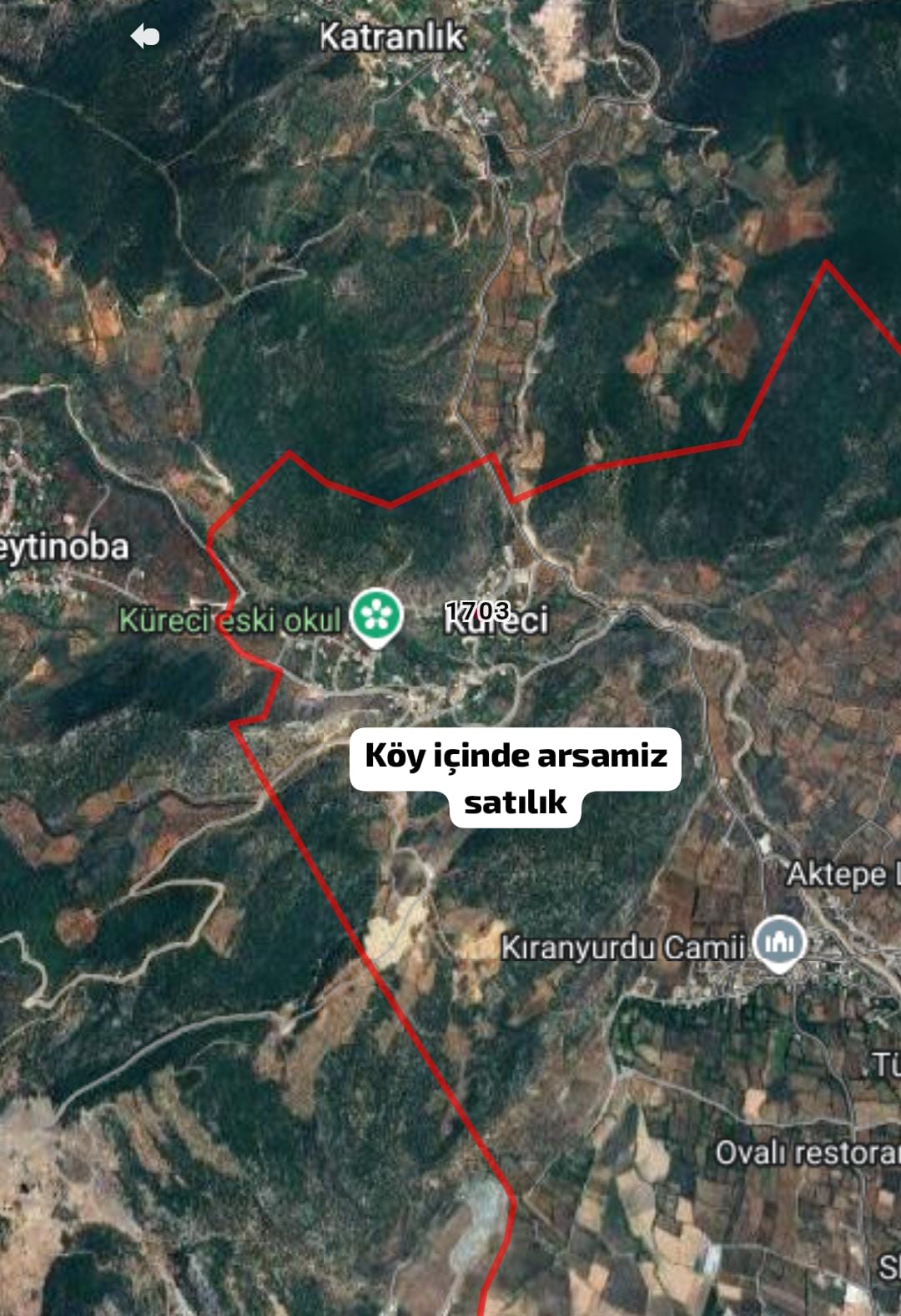 Fotoğraf