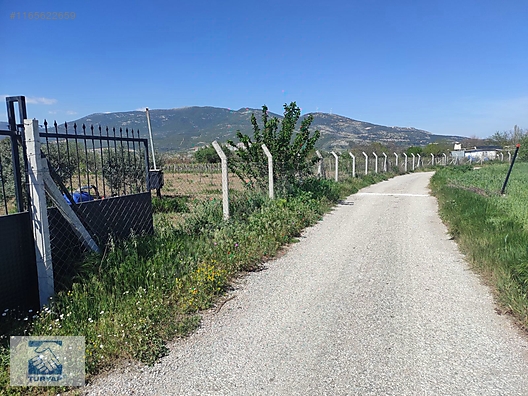 İlan Fotoğrafı