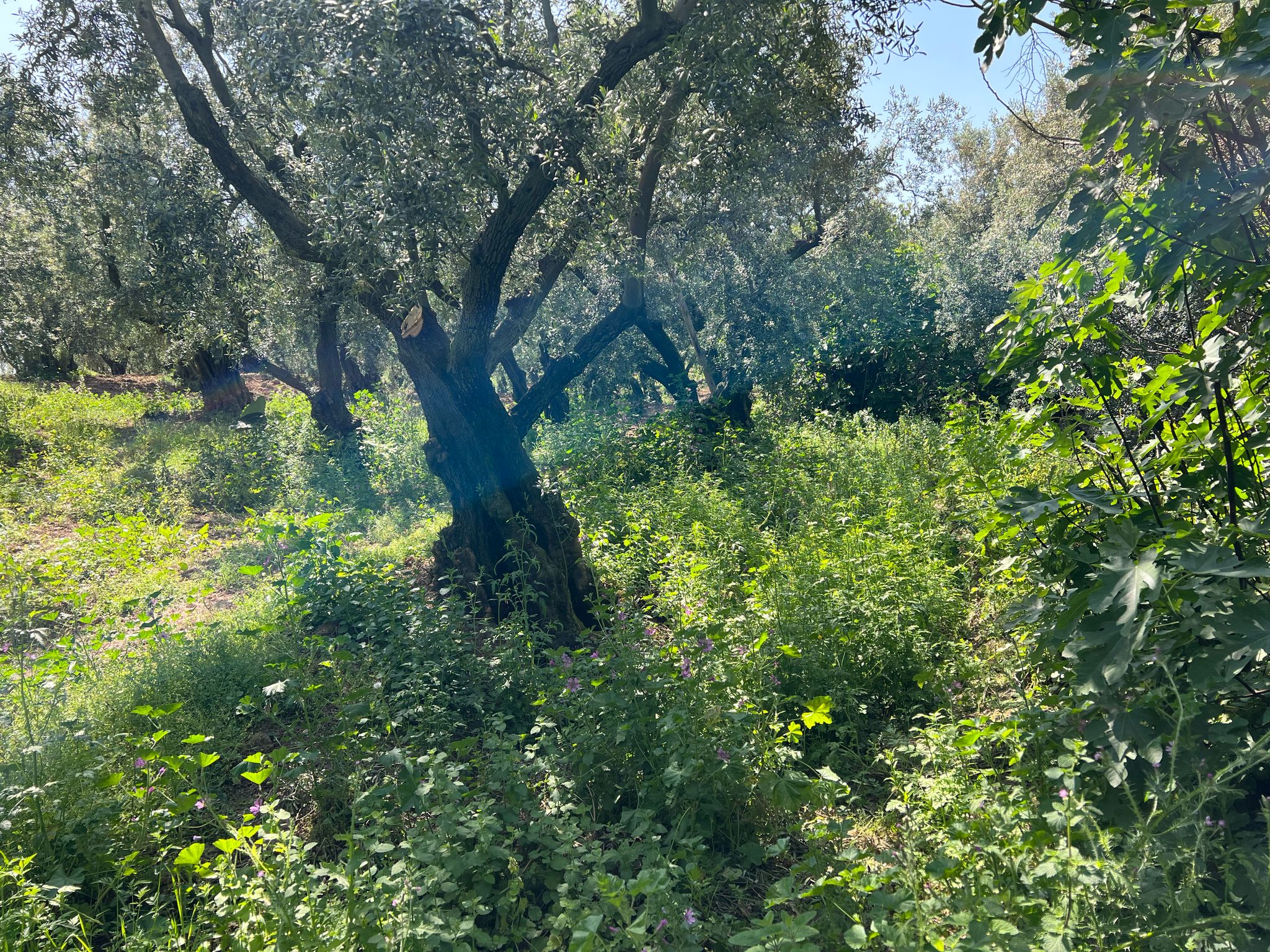 Fotoğraf