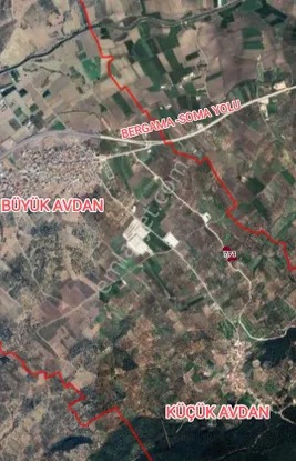 Yeliz'den Manisa Soma'da Asfalt Kenarı Zeytinlik