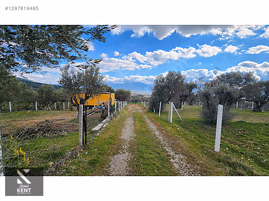 İlan Fotoğrafı