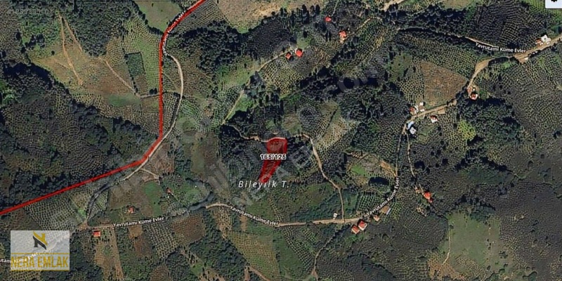 İlan Fotoğrafı