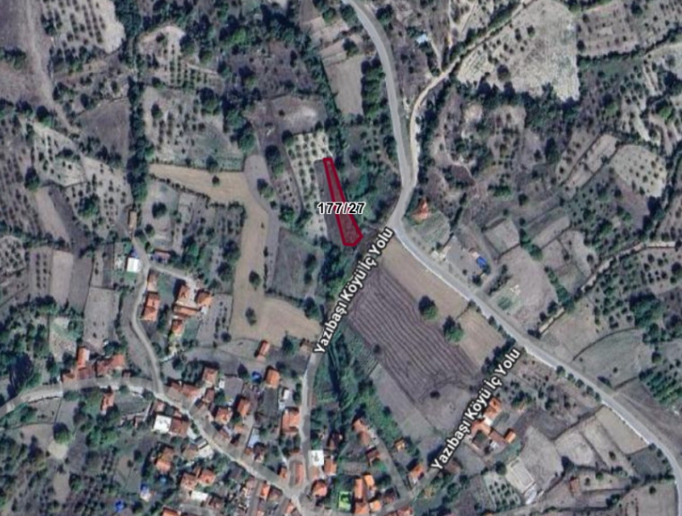 Fotoğraf