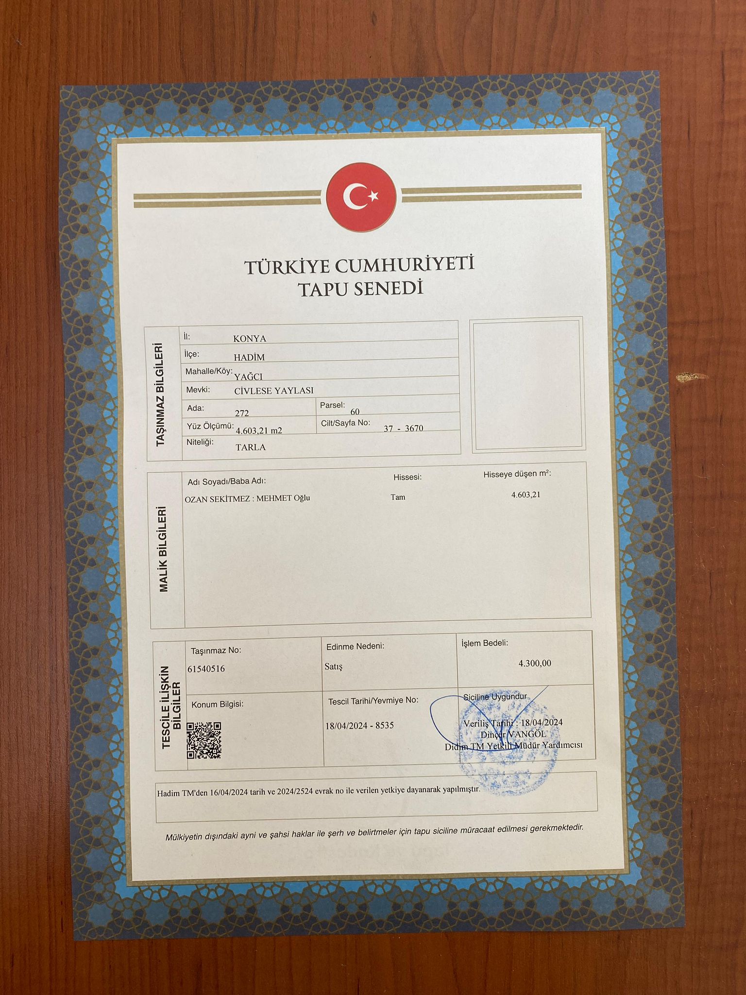 Fotoğraf