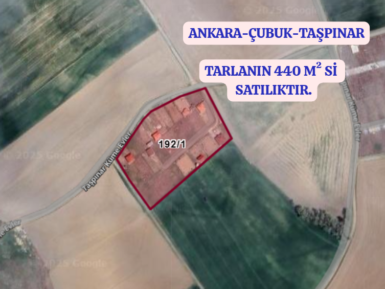 Fotoğraf