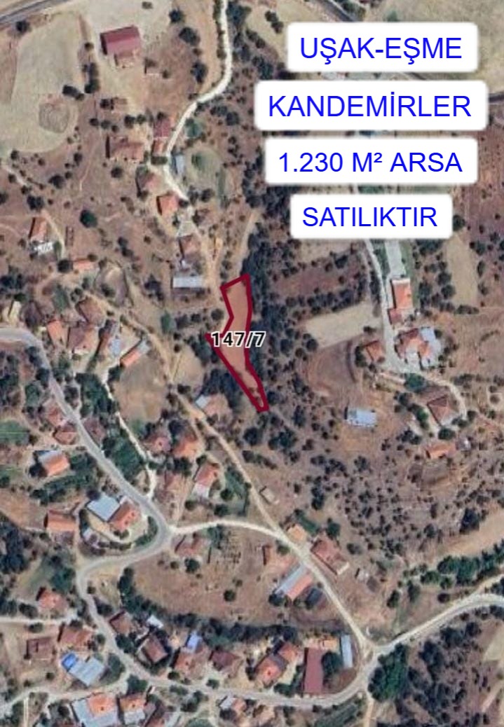 Fotoğraf